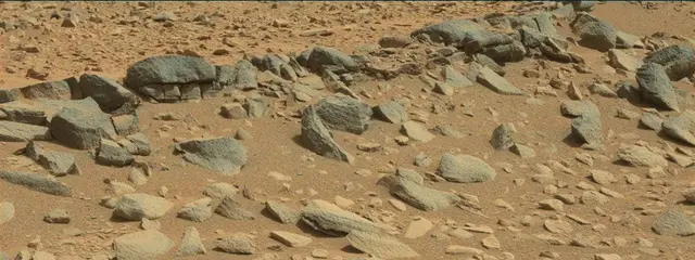 Sol 316: Mast Camera (Mastcam)
