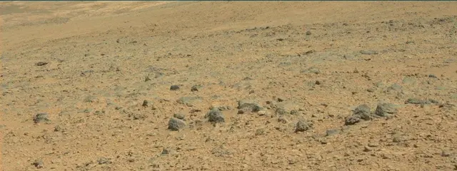 Sol 316: Mast Camera (Mastcam)