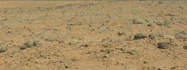 Sol 316: Mast Camera (Mastcam)