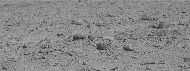 Sol 316: Mast Camera (Mastcam)