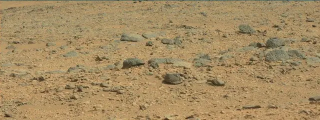 Sol 316: Mast Camera (Mastcam)