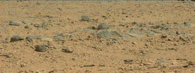 Sol 316: Mast Camera (Mastcam)