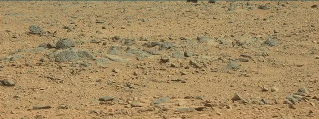 Sol 316: Mast Camera (Mastcam)
