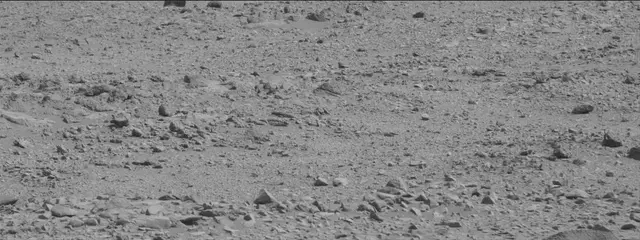 Sol 316: Mast Camera (Mastcam)