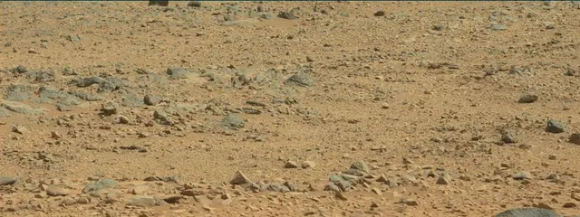 Sol 316: Mast Camera (Mastcam)