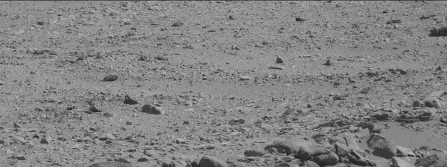 Sol 316: Mast Camera (Mastcam)