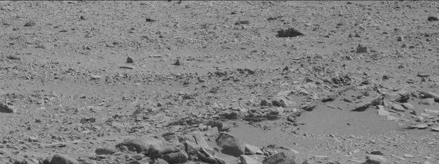 Sol 316: Mast Camera (Mastcam)