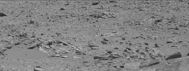 Sol 316: Mast Camera (Mastcam)
