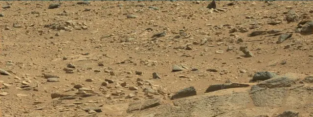 Sol 316: Mast Camera (Mastcam)
