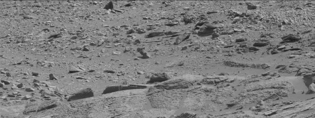 Sol 316: Mast Camera (Mastcam)