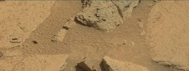 Sol 316: Mast Camera (Mastcam)
