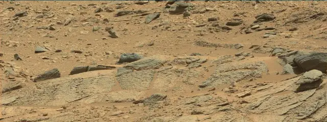 Sol 316: Mast Camera (Mastcam)