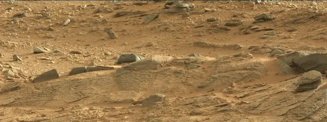 Sol 316: Mast Camera (Mastcam)