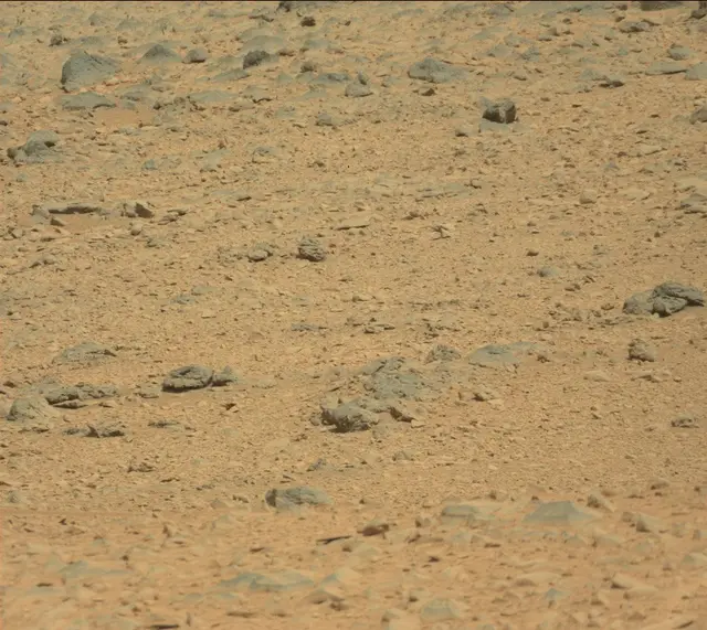 Sol 316: Mast Camera (Mastcam)