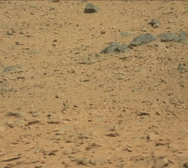 Sol 316: Mast Camera (Mastcam)