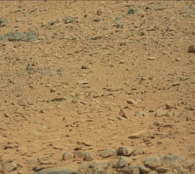 Sol 316: Mast Camera (Mastcam)