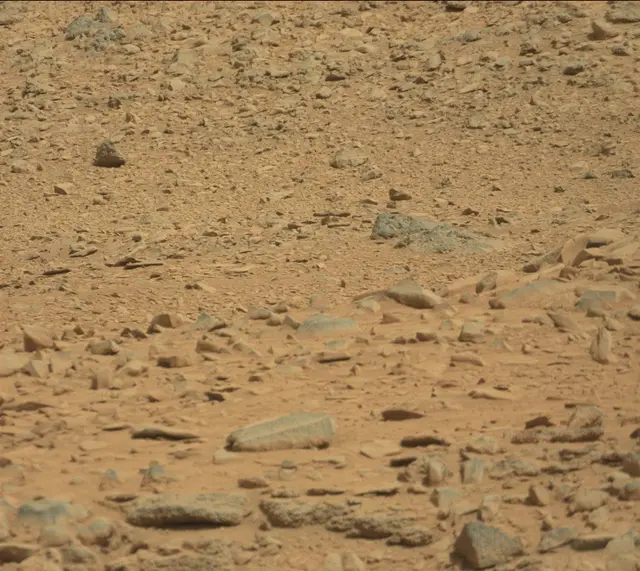 Sol 316: Mast Camera (Mastcam)
