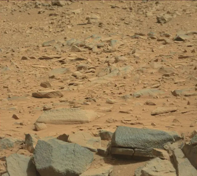 Sol 316: Mast Camera (Mastcam)