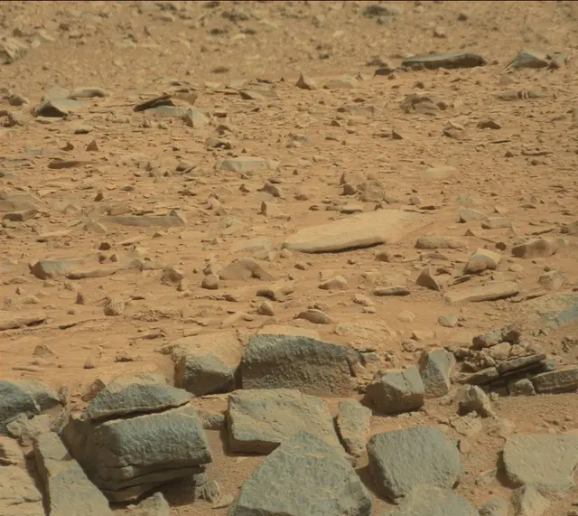 Sol 316: Mast Camera (Mastcam)
