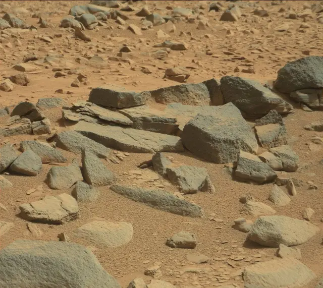 Sol 316: Mast Camera (Mastcam)