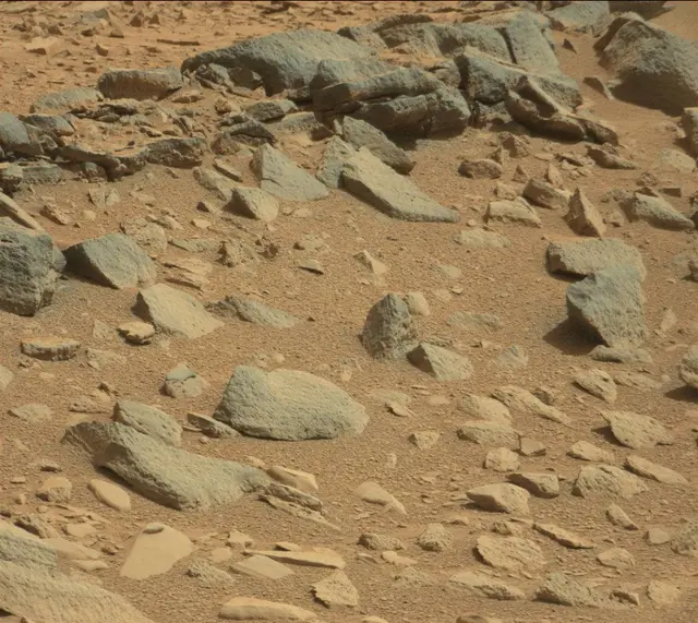 Sol 316: Mast Camera (Mastcam)