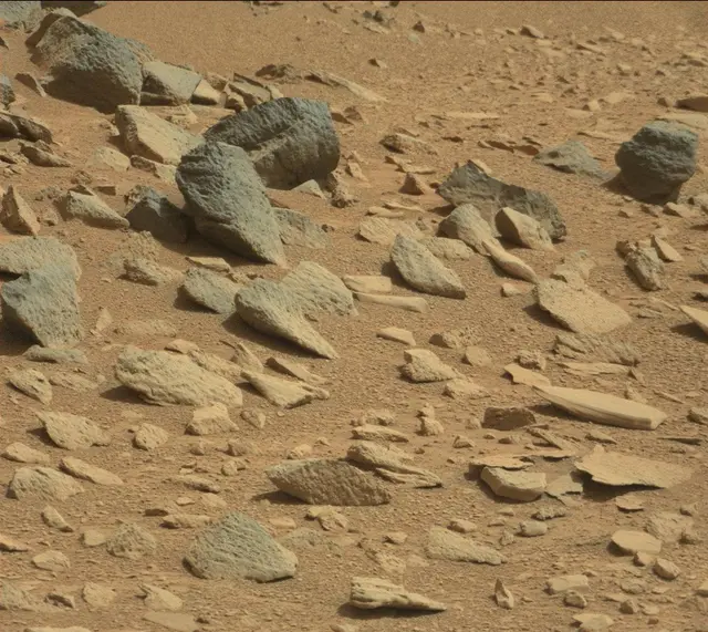 Sol 316: Mast Camera (Mastcam)