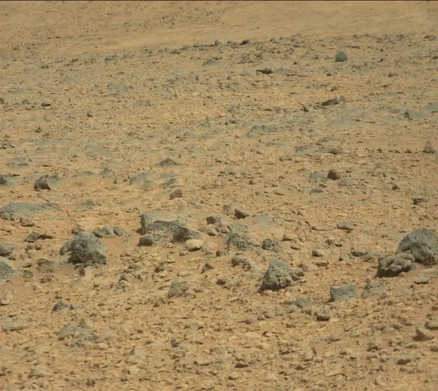 Sol 316: Mast Camera (Mastcam)