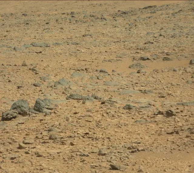 Sol 316: Mast Camera (Mastcam)