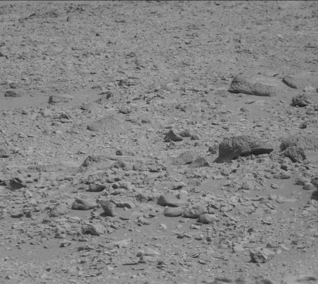Sol 316: Mast Camera (Mastcam)