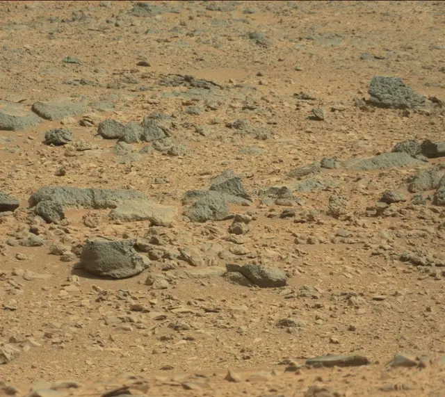 Sol 316: Mast Camera (Mastcam)