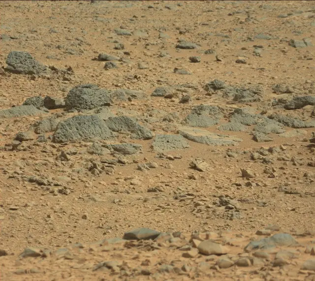 Sol 316: Mast Camera (Mastcam)