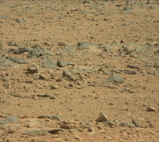 Sol 316: Mast Camera (Mastcam)