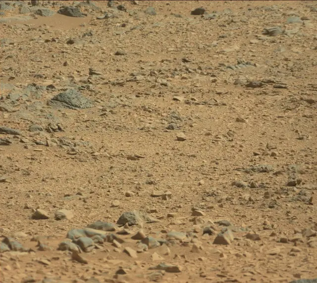 Sol 316: Mast Camera (Mastcam)