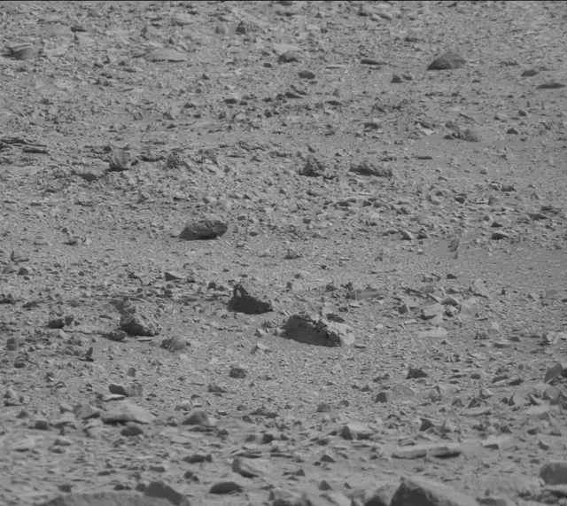 Sol 316: Mast Camera (Mastcam)