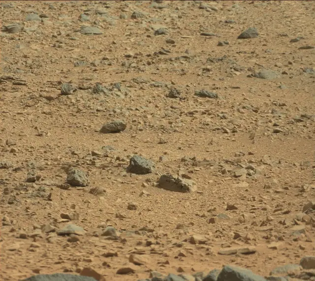 Sol 316: Mast Camera (Mastcam)