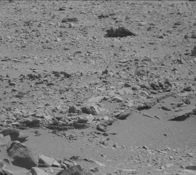Sol 316: Mast Camera (Mastcam)