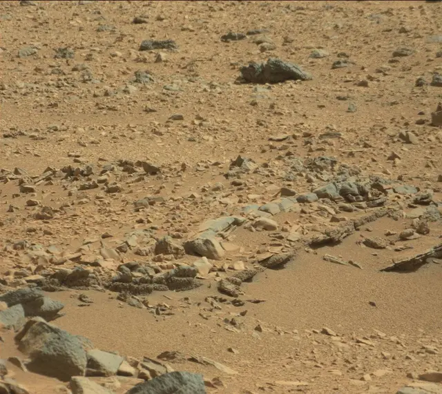 Sol 316: Mast Camera (Mastcam)