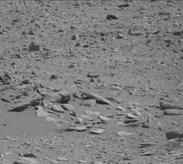 Sol 316: Mast Camera (Mastcam)
