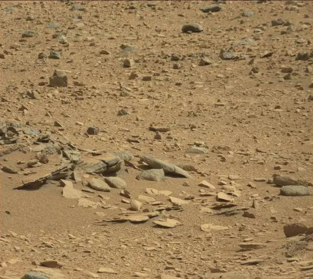 Sol 316: Mast Camera (Mastcam)