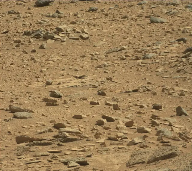 Sol 316: Mast Camera (Mastcam)