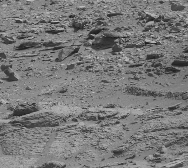 Sol 316: Mast Camera (Mastcam)