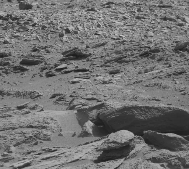 Sol 316: Mast Camera (Mastcam)