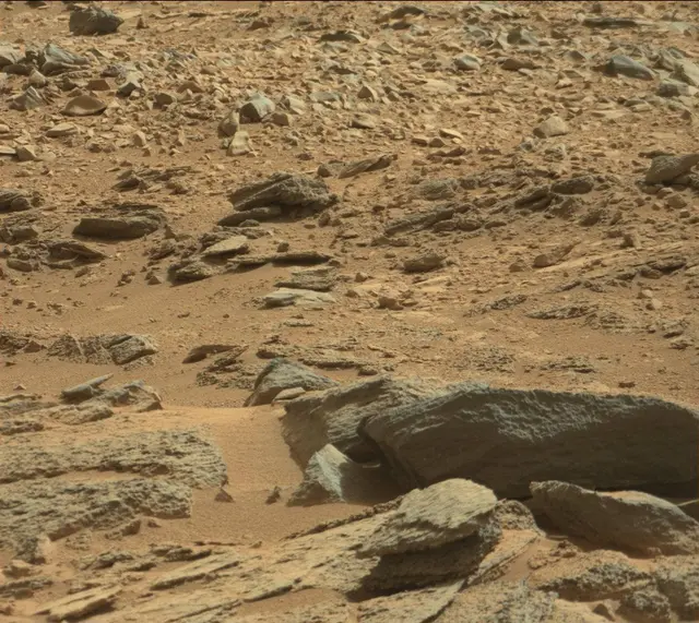 Sol 316: Mast Camera (Mastcam)