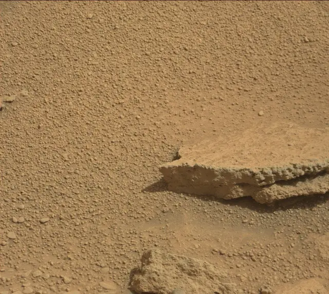 Sol 316: Mast Camera (Mastcam)