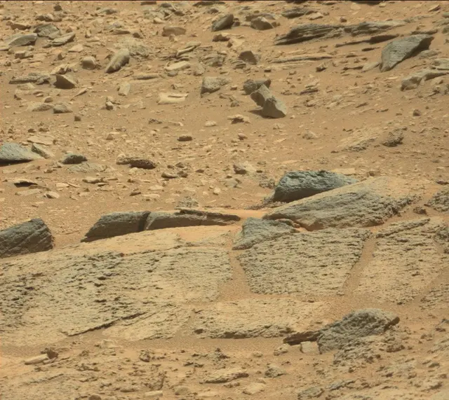 Sol 316: Mast Camera (Mastcam)