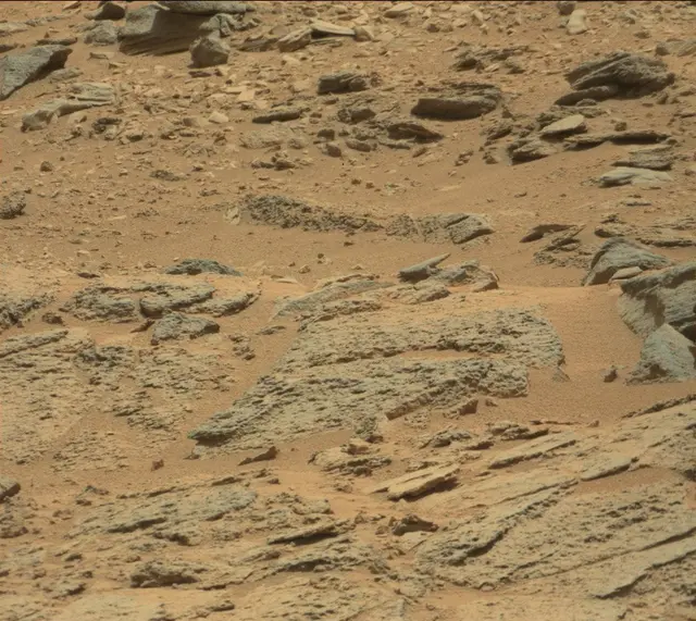 Sol 316: Mast Camera (Mastcam)