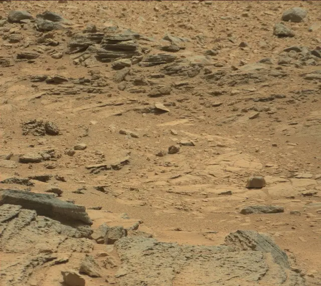 Sol 316: Mast Camera (Mastcam)
