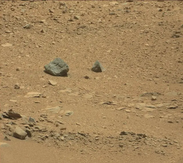 Sol 316: Mast Camera (Mastcam)