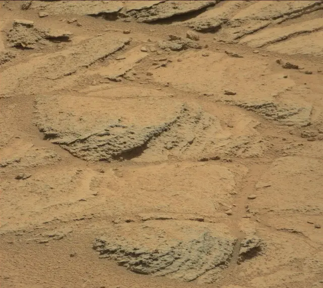 Sol 316: Mast Camera (Mastcam)