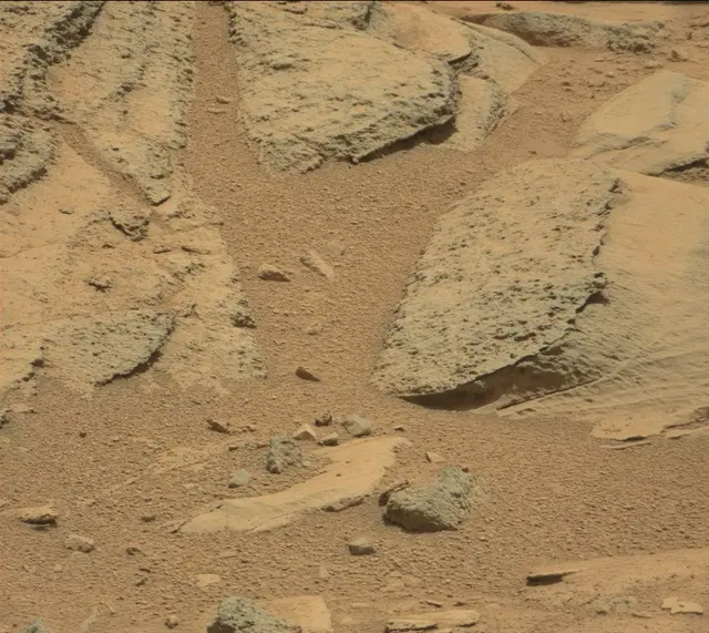Sol 316: Mast Camera (Mastcam)